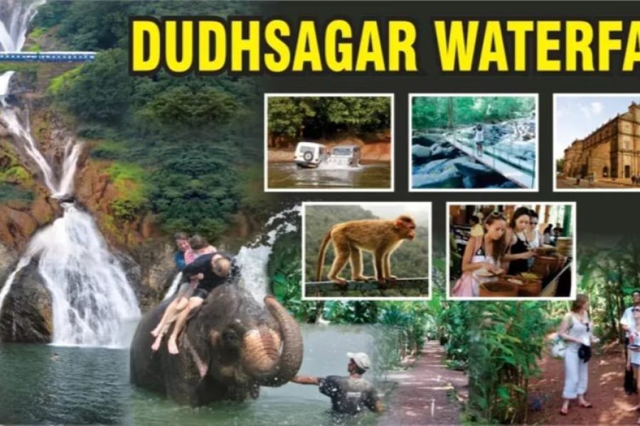 Dudhsagar Water Falls